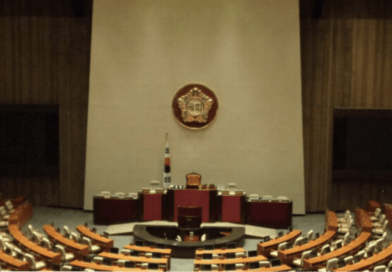 KARARLARDA MECLİS  İSTER /// Wants The Council For Get Decide
