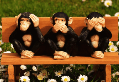 KEŞKE DİNLESELERDİ, AKILLARINI KULLANSALARDI /// Wish They Listened and Used Their Minds
